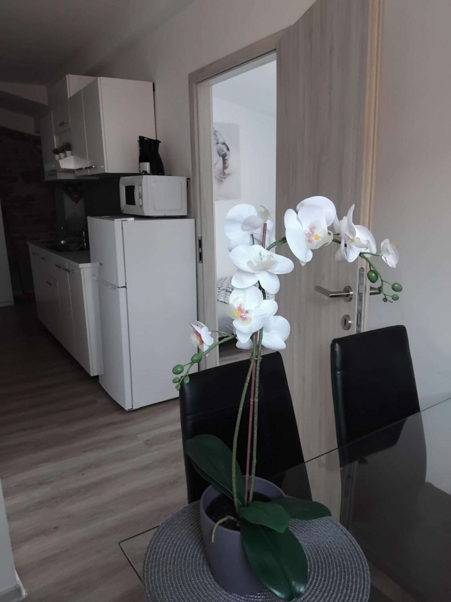 Apartmaja Eva&Pia 科佩尔 外观 照片